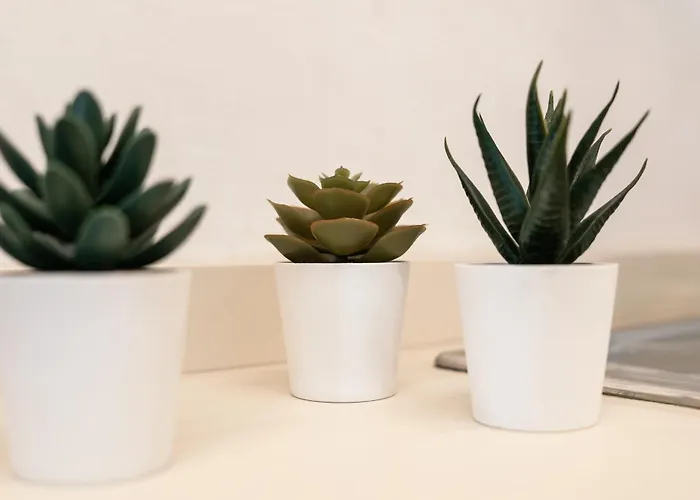 Social Cabouqueira Apartman