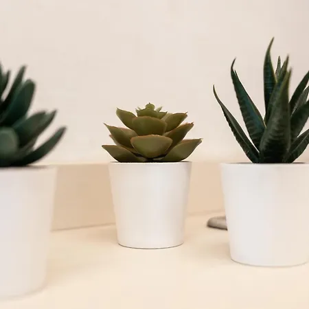 Social Cabouqueira Apartmán